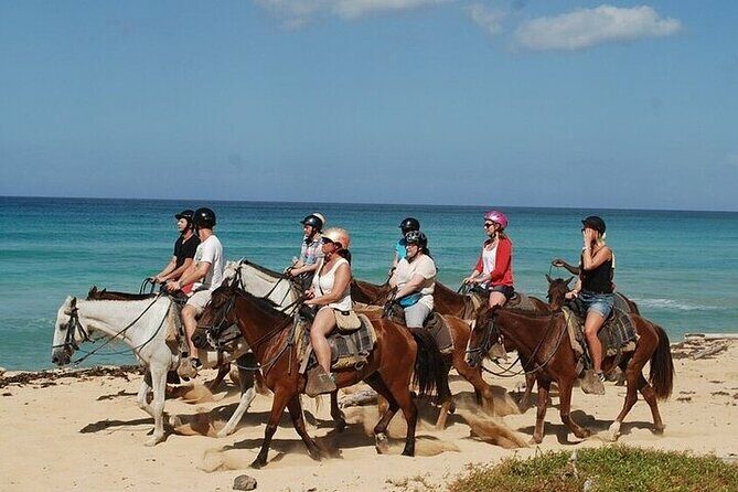 Buggy Horses and Zip Line from Punta Cana with Lunch Included - Who Will Love This Tour?
