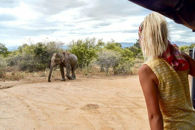 Bundala National Park by Ajith Safari - Detailed Review of the Safari Experience