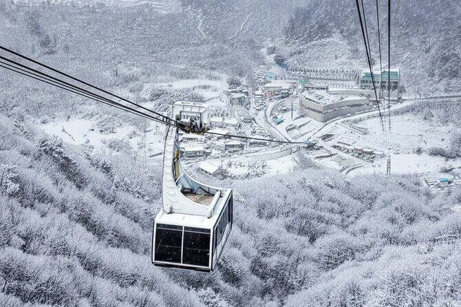 Busan Discovery Tour with Snow and UNESCO Spot - Transportation, Pricing, and What It Means for You