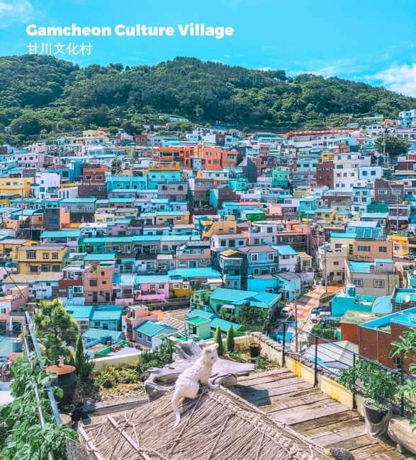 Busan: Full-Day Tour Unmissable things to do in Busan - What Past Travelers Say