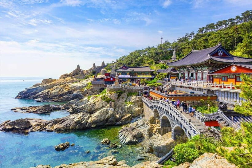 Busan: Private Chartered Car Tour - The Sum Up
