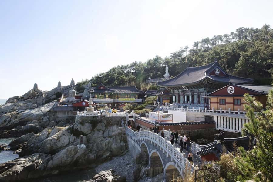 Busan: Private Taxi Tour - Port Cruise Shore Excursion - Who Should Consider This Tour?