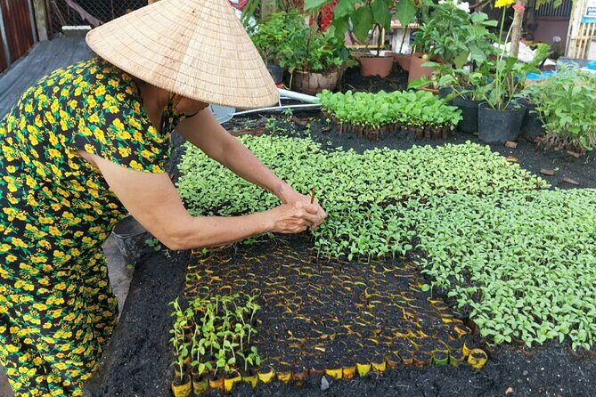 Can Tho: Floating Market, Canals, Nature Reserve & Forest - Why This Tour Stands Out