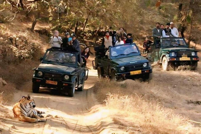 Canter Safari: Skip-the-line Entry Ranthambore Tiger Reserve - Who Will Love This Tour?