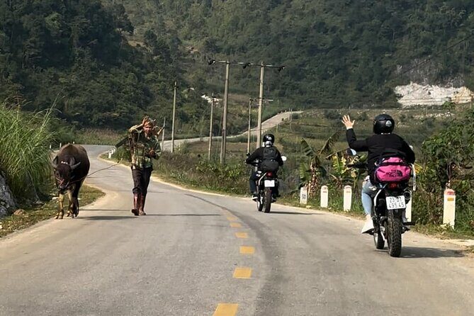 Cao Bang: Ban Gioc Waterfall Full-Day With Local Guide - Authentic Experiences Highlighted by Travelers