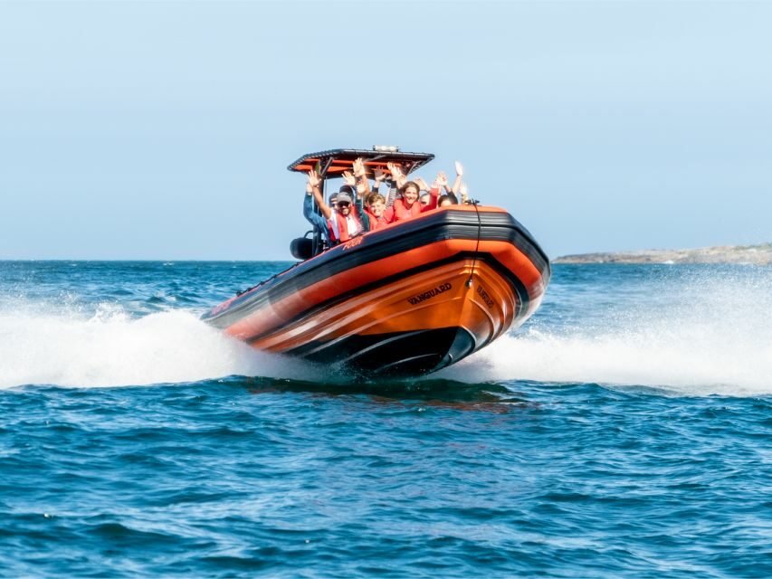 Cascais: Dolphin Watching Tour - The Authenticity and Education
