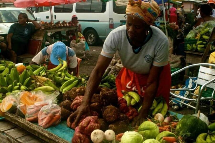 Castries: Guided City Architecture and Castries Market Tour - What You’ll Love About the Tour