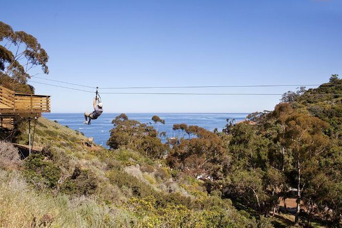 Catalina Island Zip Line Eco Tour - Real Traveler Insights