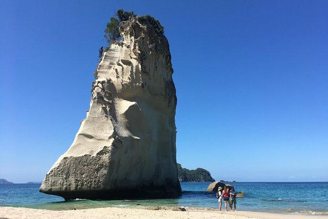 Cathedral Cove Day Trip from Auckland - What Sets This Tour Apart?