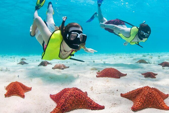 Cayman Combo Tour: Stingrays, Starfish Point and Crystal Caves - Final Thoughts: Who Will Love This Tour?