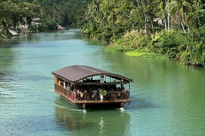 Cebu-Bohol Day Tour + Ferry Tickets - A Deep Dive into the Itinerary and Experience