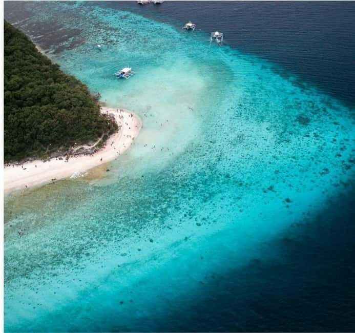 Cebu: Oslob Whale Shark Swim and Sumilon Island Day Tour - Is This Tour Worth It?