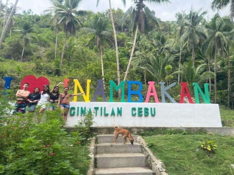 Cebu: Whale Shark, Inambakan Falls & Moalboal Sardine Tour - The Itinerary in Detail