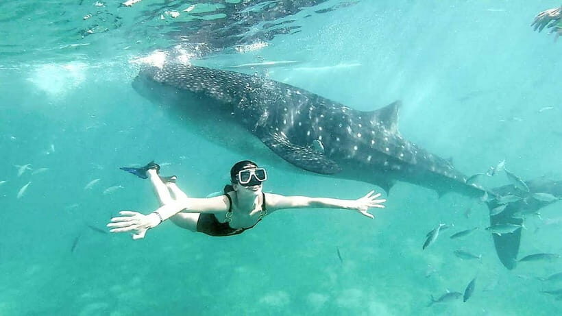 Cebu: Whaleshark Swimming & Kawasan falls Canyoneering Tour - Analyzing the Value