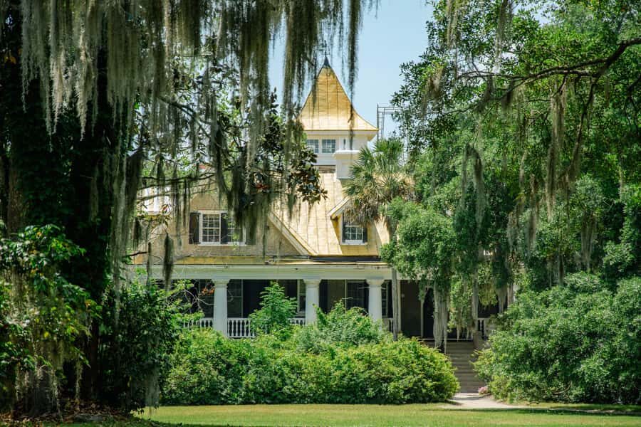 Charleston: Magnolia Plantation with Transport and City Tour - The Sum Up: Who Will Love This Tour?