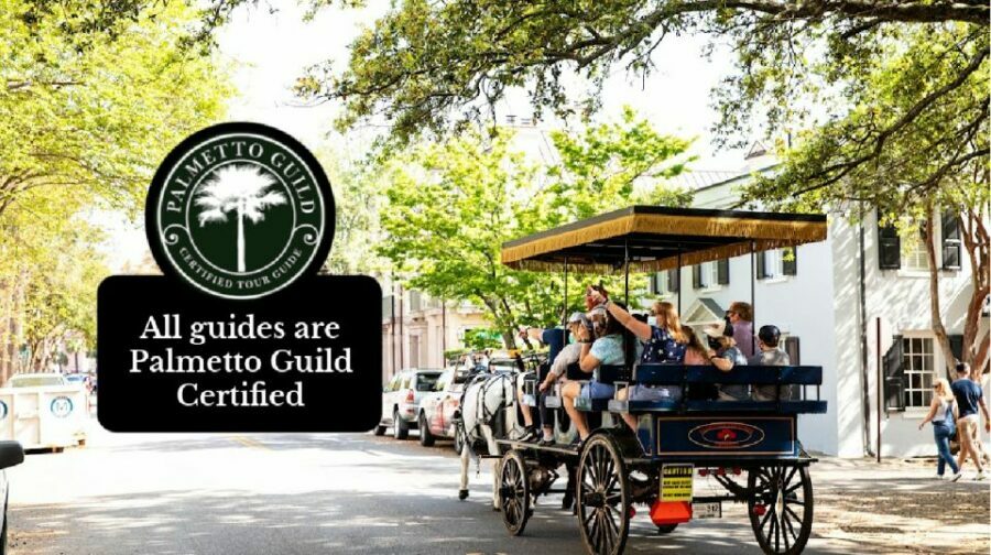 Charleston, SC: Private Daytime Horse-Drawn Carriage Ride - The Value of the Experience