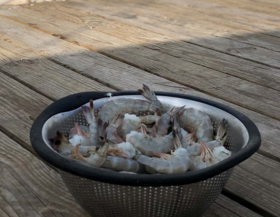 Charleston: Shem Creek Culture Tour - Why This Tour Offers Excellent Value