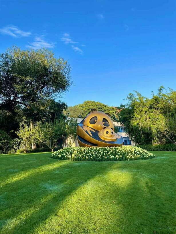 Chengdu: Panda Research Base Ticket or Private Transfer Tour - Why This Tour Offers Strong Value