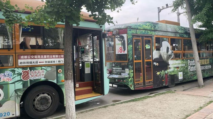 Chengdu: Private Tour at Panda Base with Guide - Logistics and Practicalities