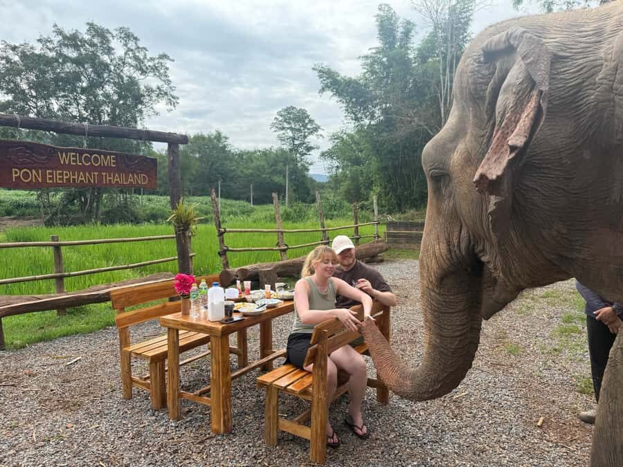 Chiang Mai 2-Day: Good Morning Elephant & Overnight Homestay - Why Travelers Rave About This Tour