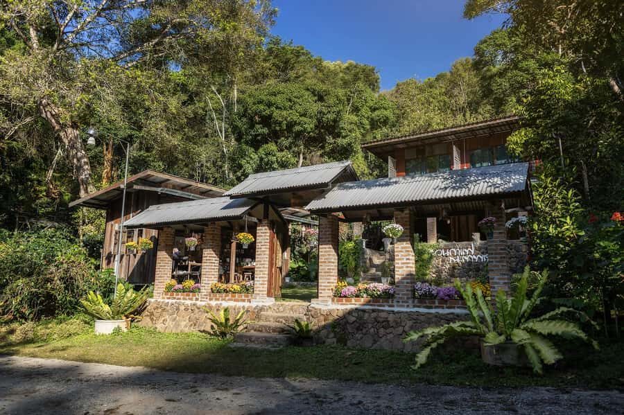 Chiang Mai : Coffee Process & Tasting  From Cherry to Cup - The Real Value of the Experience