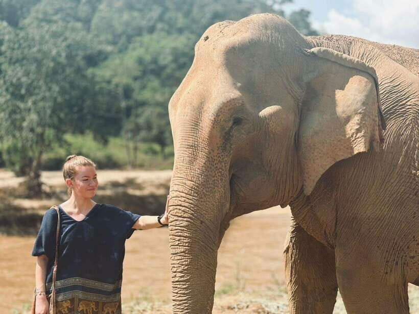 Chiang Mai: Elephant Sanctuary, Long Neck & Sticky Waterfall - What Travelers Love Most