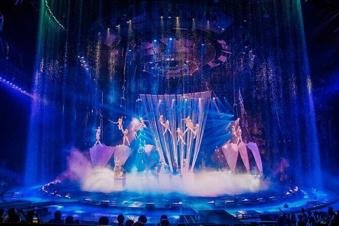 Chimelong International Circus Ticket with Transfer - Why This Tour Is a Good Value