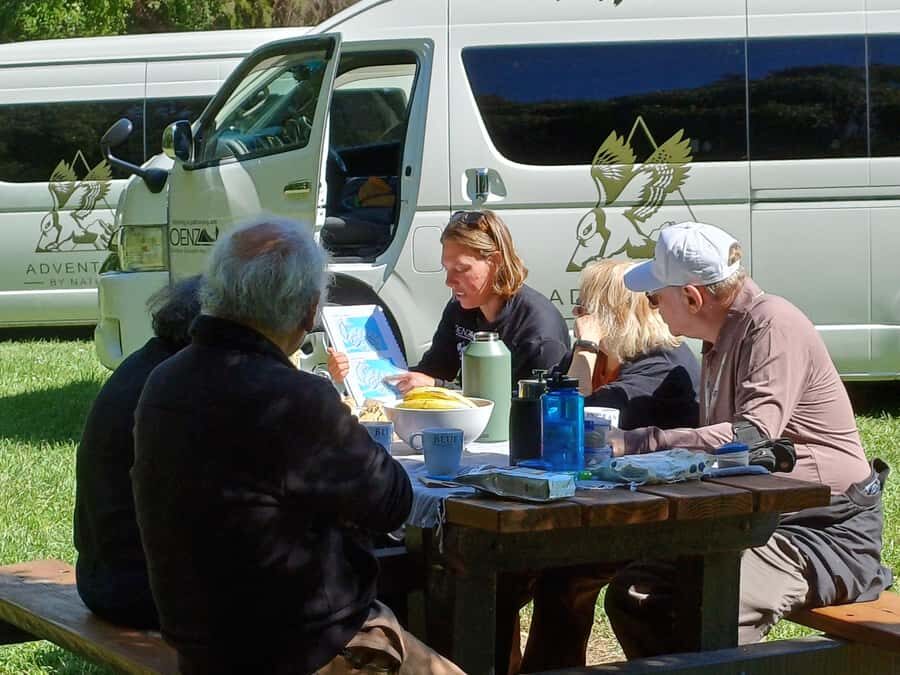 Christchurch: Akaroa and Banks Peninsula Day Trip - Authentic Experiences & Real-World Insights