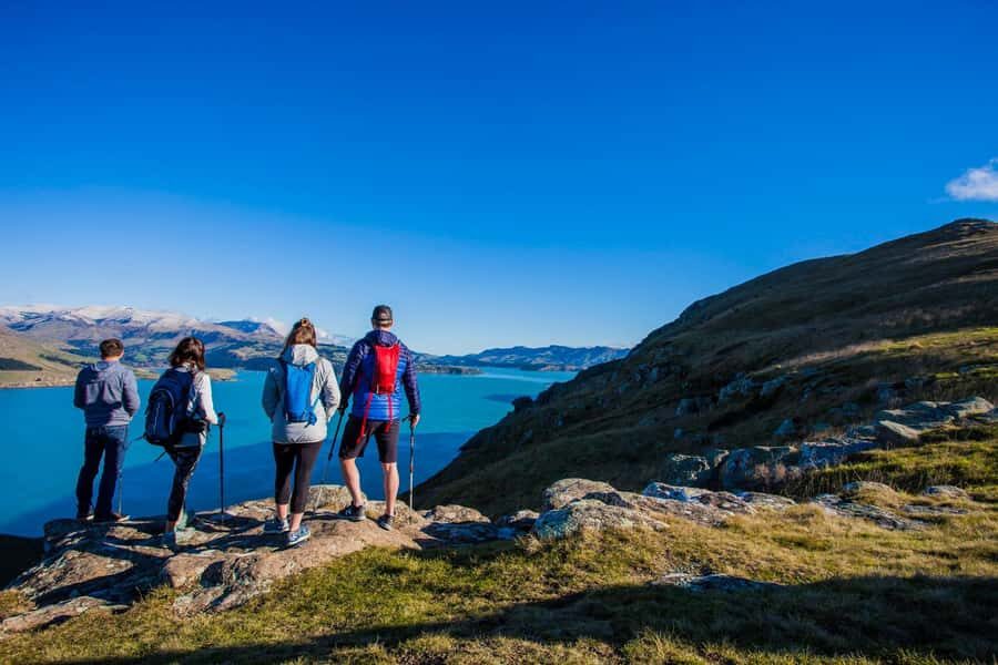 Christchurch: Guided Crater Rim Walk with Coastal Scenery - A Closer Look at the Itinerary and What to Expect