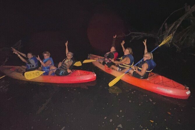 CLEAR BOTTOM KAYAKS Tour in Bioluminescent, Mosquito Bay - Practical Considerations and Tips