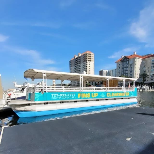 Clearwater Beach: Sunset and Harbor Lights Cruise - The Perfect Audience for This Tour