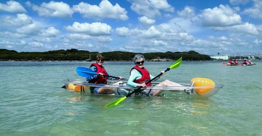 Clearwater: Guided Clear Kayaking Tour - Why This Tour Offers Good Value