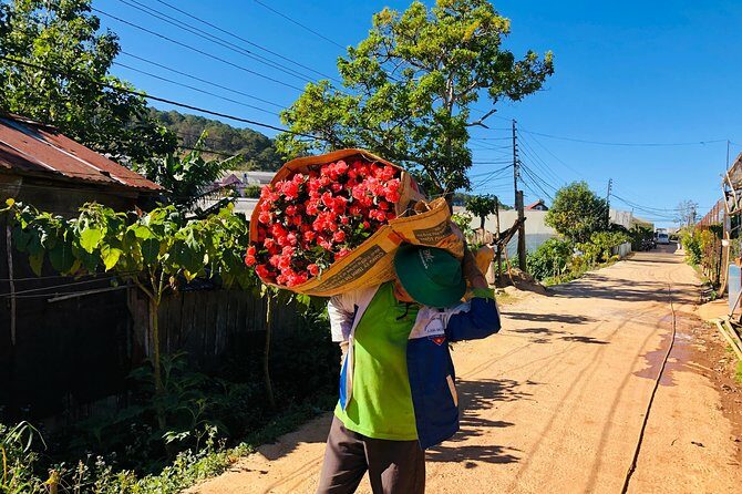 Coffee Class and DaLat Outskirt Tour - Practical Details and What They Mean for You