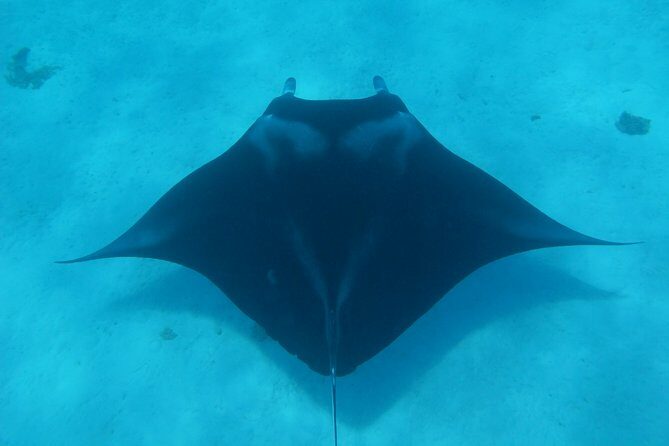 Combo Diving and Snorkeling Full Day Tour - Detailed Breakdown of the Itinerary