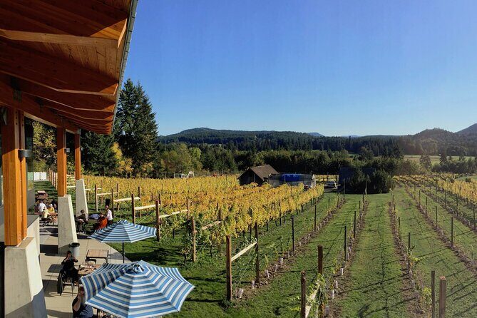 Cowichan Valley Premium Wine Tour - Analyzing the Cost: Is It Worth It?
