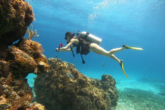 Cozumel Scuba Dive at Chankanaab - Who Is This Tour Best For?