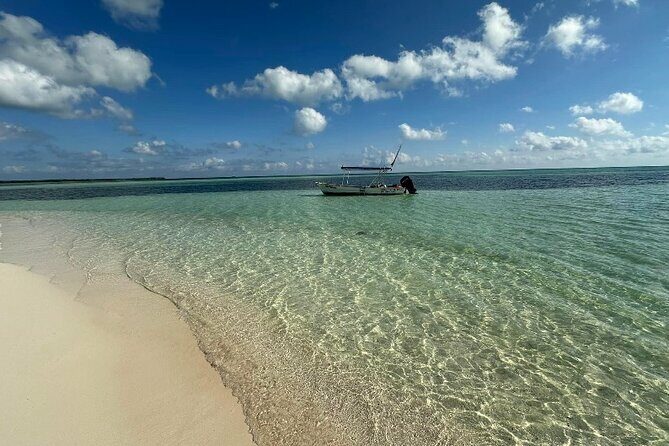 Cozumel Unique Buggy Adventure Five Hour Tour - Why This Tour Excels
