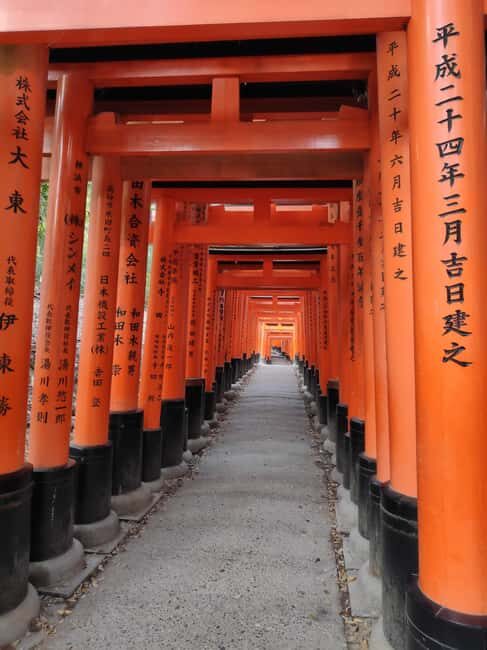 Craig's Kyoto Private Luxury Alphard Tour / The Early Riser - The Value of This Experience