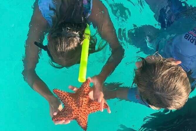 Cristal Speed boat, Snorkeling, Beach Tour & Lunch St Maarten - Value and Practical Tips