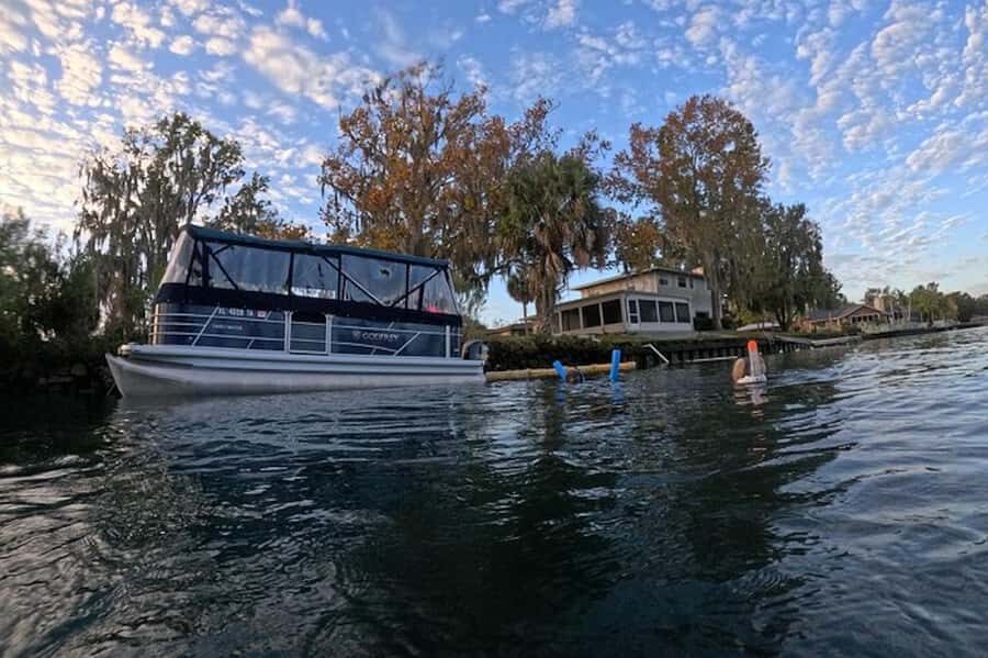 Crystal River: Kings Bay Manatee Watching Cruise - Who Will Love This Tour?