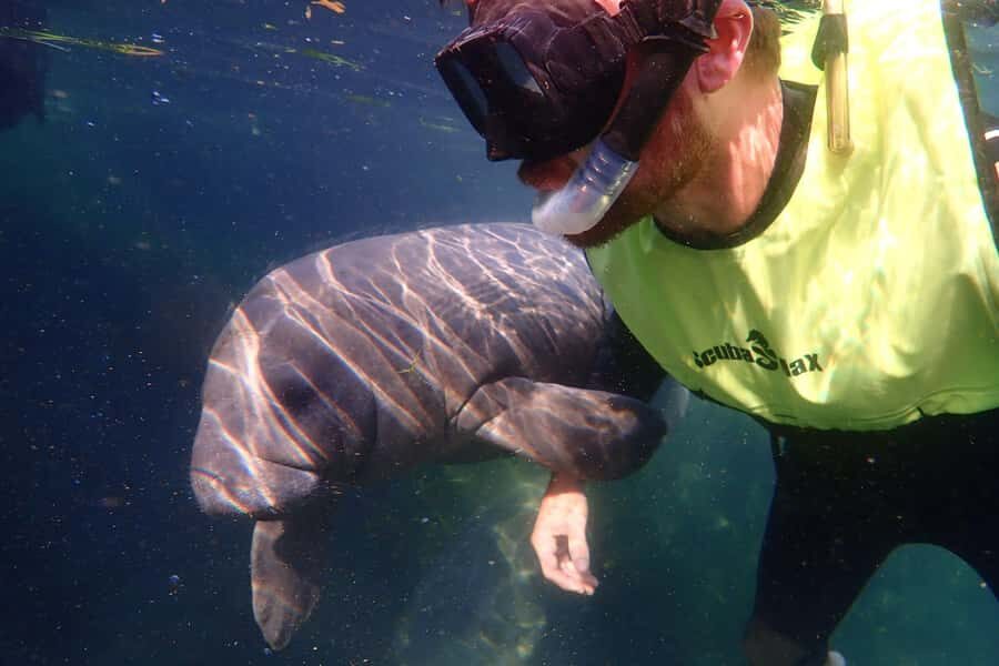 Crystal River: Manatee Swim Small Group, VIP or Private Tour - Who Will Love This Tour?