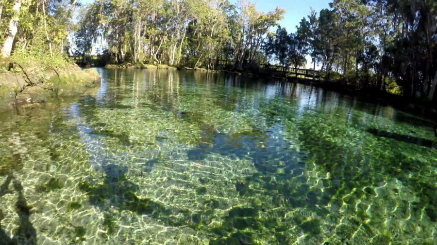 Crystal River:Three Sisters Springs Guided Kayak & Swim Tour - The Itinerary: What You Can Expect