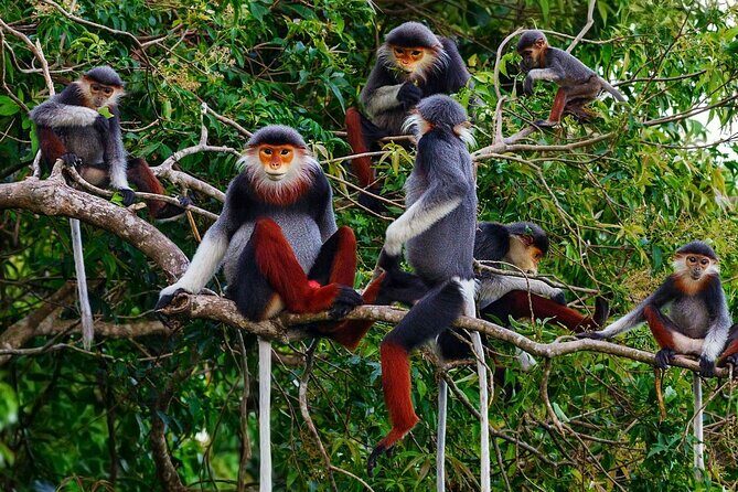 CUC Phuong National Park One Day Small Group - A Detailed Look at the Experience