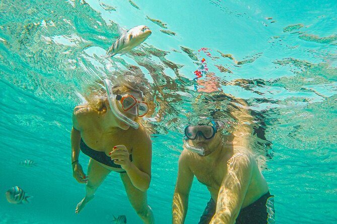 Curacao: Private Boat Tour Half Day - Analyzing the Cost and Value