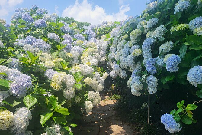 Customized private tour in Jeju island - What Past Travelers Say