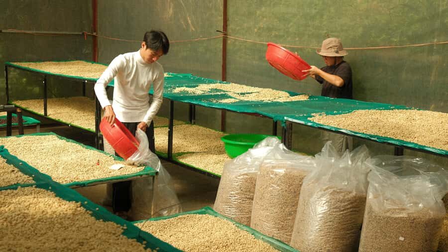Da Lat: Coffee Roasting Workshop - Roast & Brew Your Own - Who Will Love This Tour?