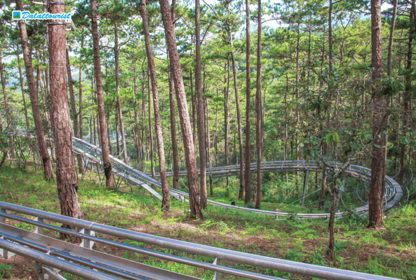 Da Lat: Datanla New Alpine Coaster Experience Entry Ticket - Who Will Enjoy This?