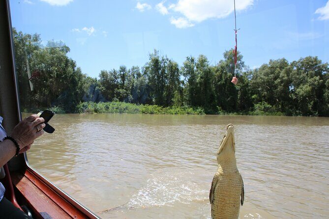 Darwin: Adelaide River Queen Original Jumping Crocodile Cruise - The Sum Up