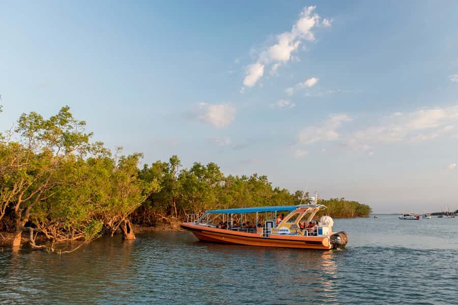Darwin Harbour Cruise - Exploring the Itinerary: What to Expect