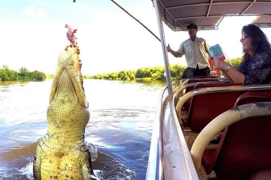 Darwin: Jumping Crocodile Adventure Cruise with Lunch - What Makes This Tour Stand Out?